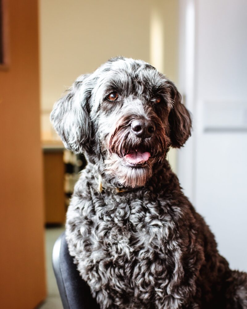 business-headshots-7-2-scaled-e1680519383328
